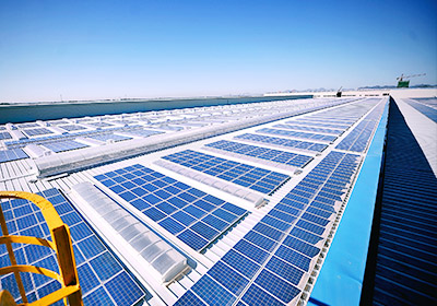 Yingli Solar adheres to the development of double main business